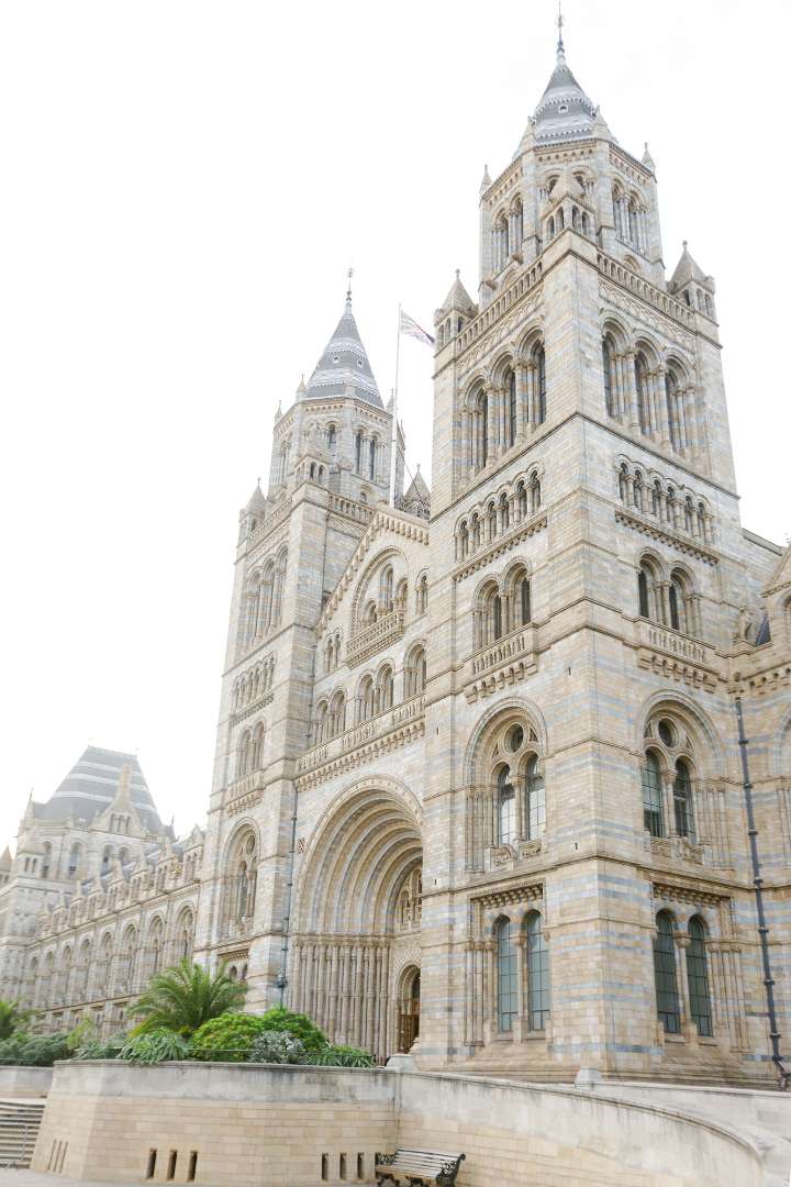 natural history musuem